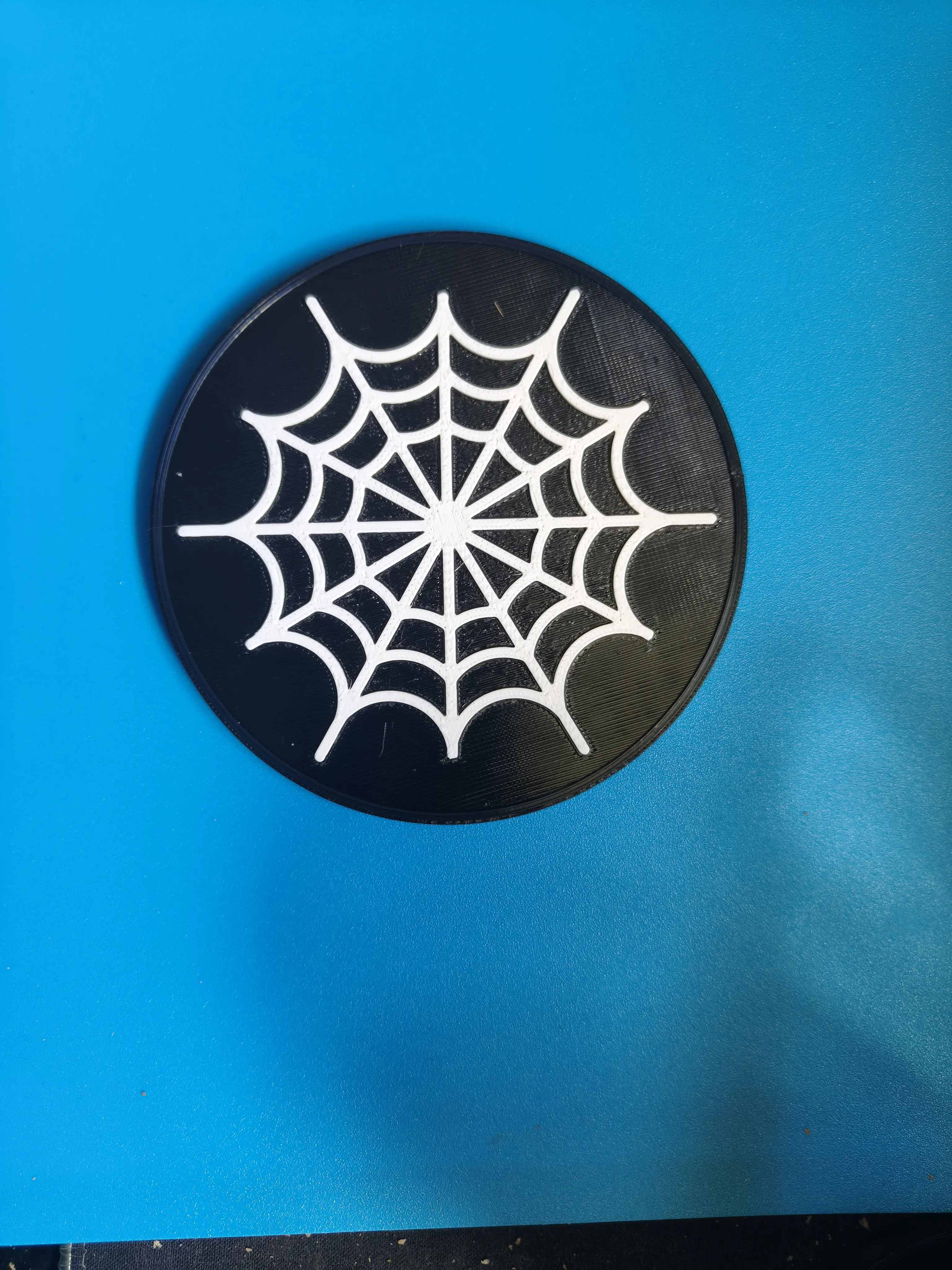 Spiderweb coaster